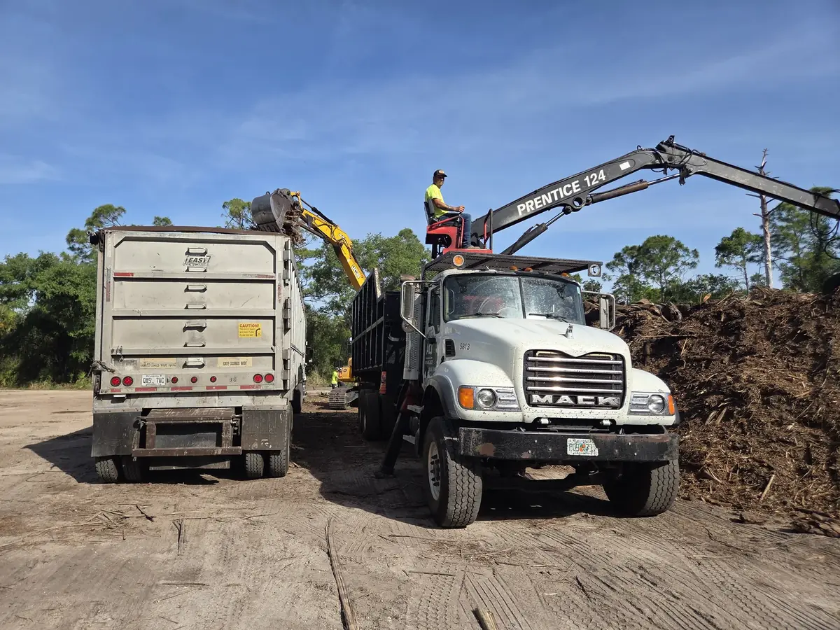 Grapple truck and excavator loading cleared brush and stumps into trailers beside a debris pile