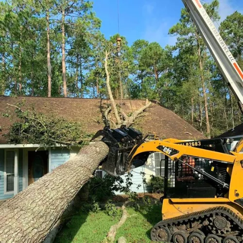 ACI crew removing a hurricane downed tree from a Florida roof