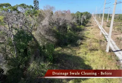 Aerial view of a drainage swale along a power line easement completely grown over with trees and heavy brush