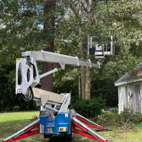 Compact tracked lift set up with outriggers on a lawn, boom raised into a large tree next to a house