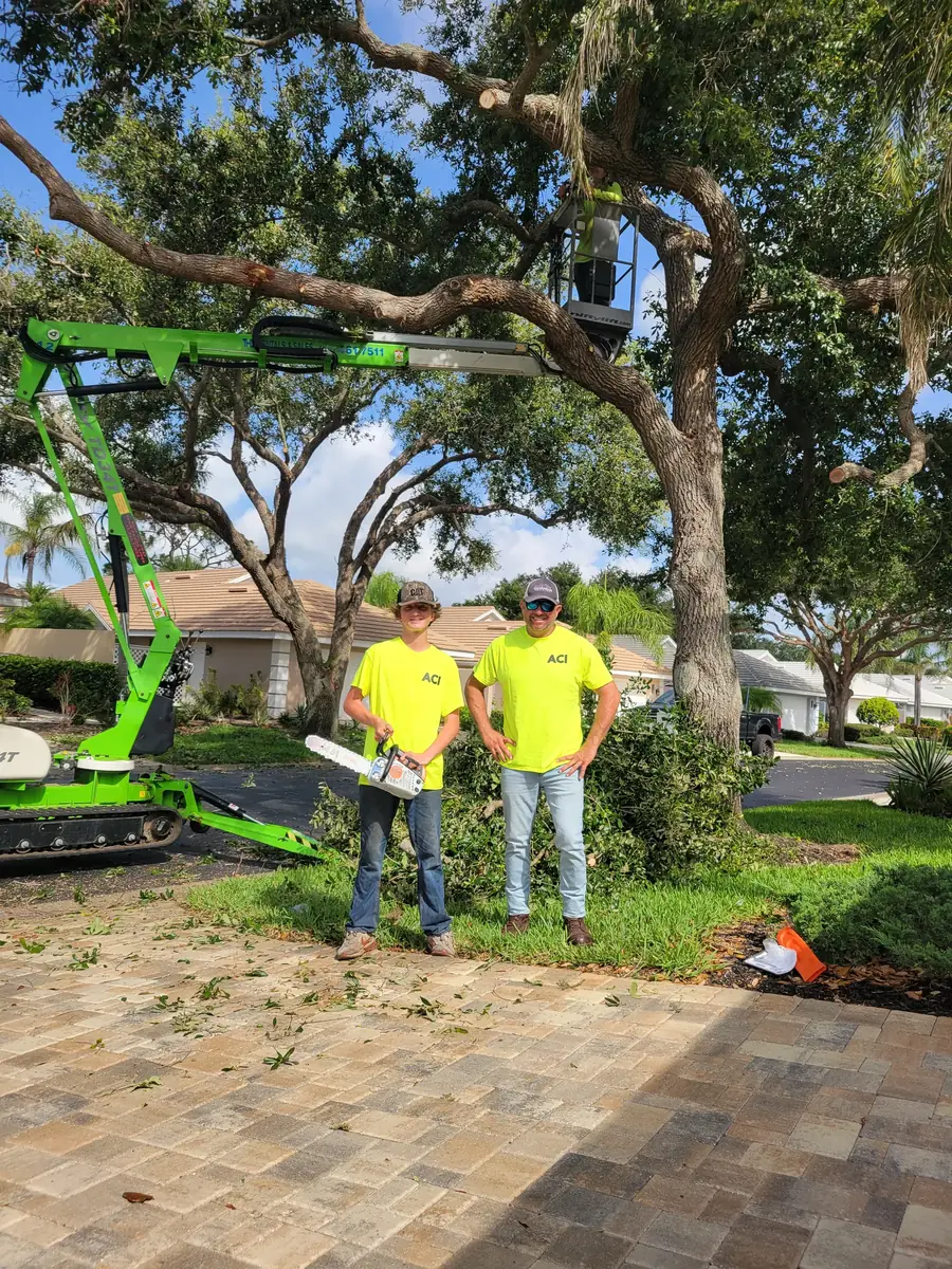 ACI climber roping down a large limb over a Venice area rooftop