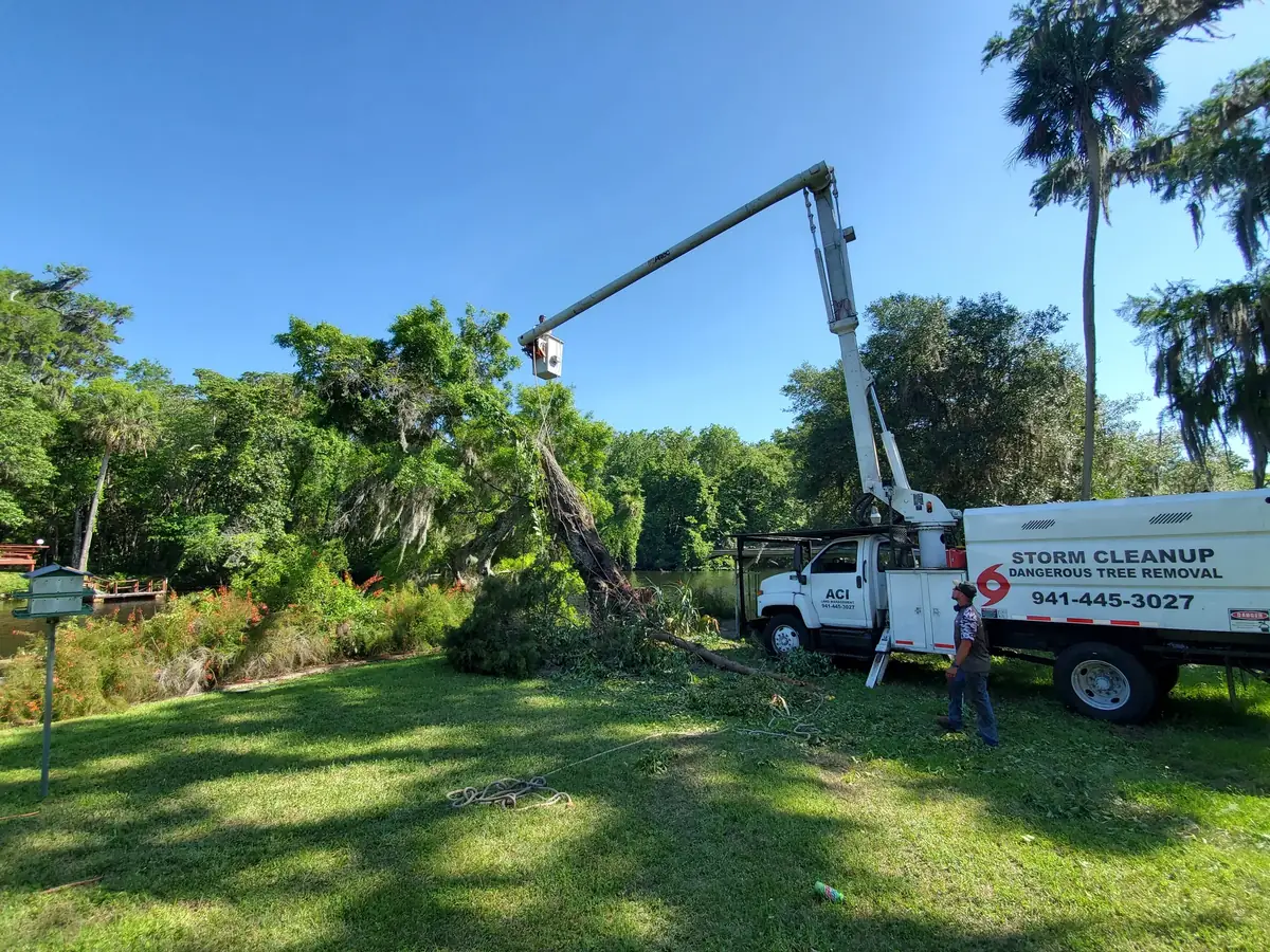 ACI bucket truck bringing down a leaning tree at the edge of a pond while a crew member handles the ropes